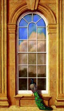 ‘Harewood House peacock’  86 x 50 cm. AVAILABLE. It’s there. We’re here. His gaze fixed in paint, yours at this computer screen. A decorative painting, in the best sense of that word, and another rare foray into a vertical format painting.