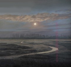 ‘The Calmness of Certainty (1) (Fishbourne Creek)’, Oil on canvas 85cm x 90cm. AVAILABLE. I like the way that the night can desaturate colours even when the moon is full and bright. This place is only about half a mile from my house. Astronomers can tell us when and where heavenly bodies will be in a certain place; it’s a certainty that gives reassurance, a predictability that gives us the kind of calmness we get from nature when we allow ourselves time to connect to it.